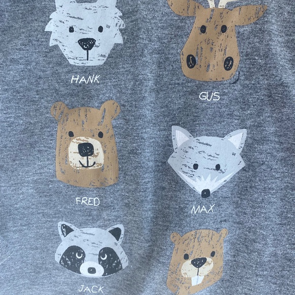Falls Creek Kids Long Sleeve Animal Character Grey Shirt Boys Size 4T - Picture 2 of 3